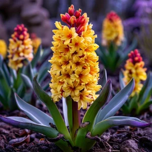 Гиацинт Миднайт Мистери купить по цене от 2099р. в интернет-магазине «Посадика» с доставкой почтой в в Камышлове и по всей России – [изображение №1].